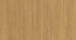 8585-Evergreen-Oak 2.jpg 8585-Evergreen-Oak 2.jpg